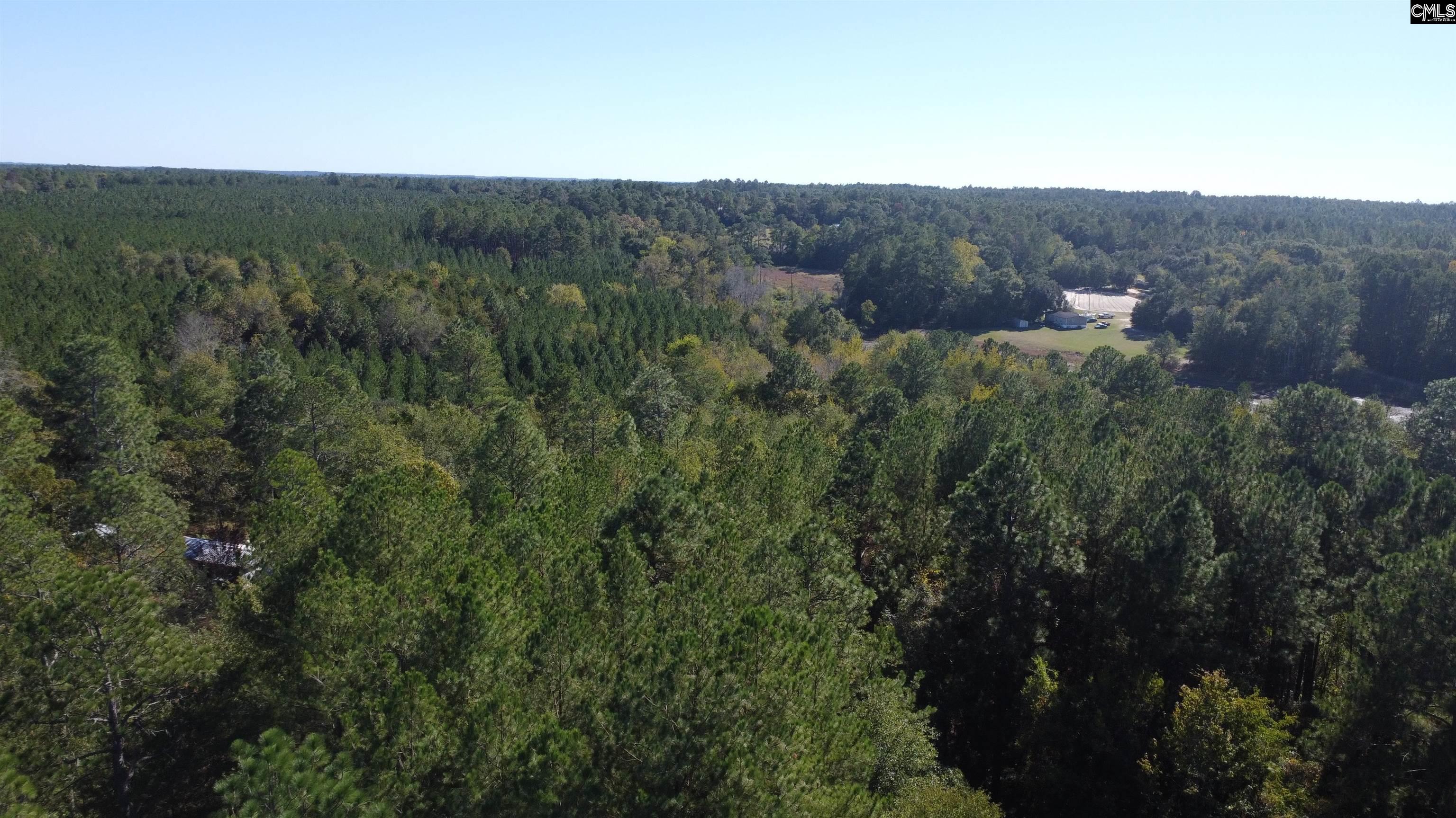 351 Camp Branch Road, Leesville — photo 9