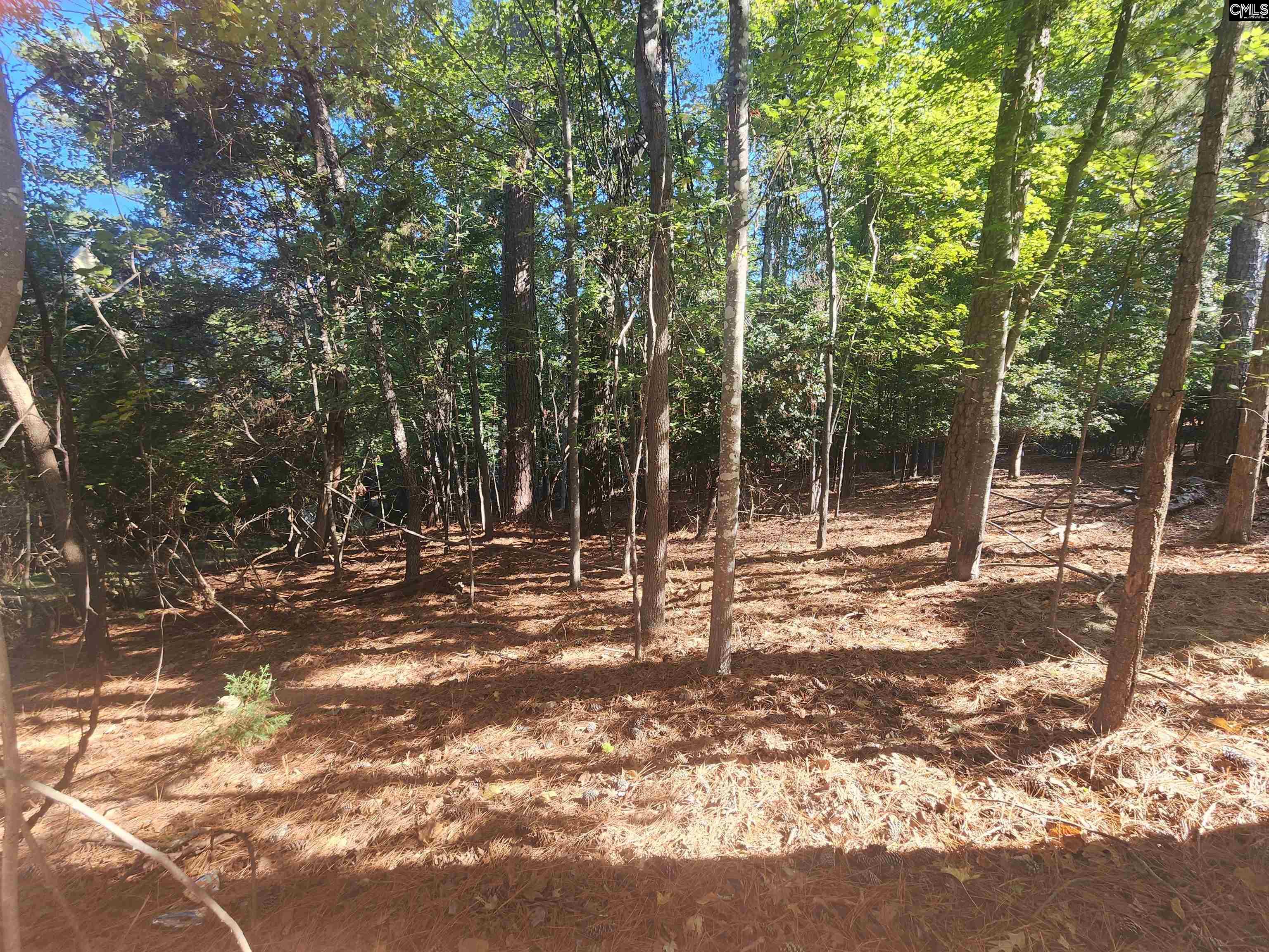 610 Timberlake Drive, Chapin — photo 2