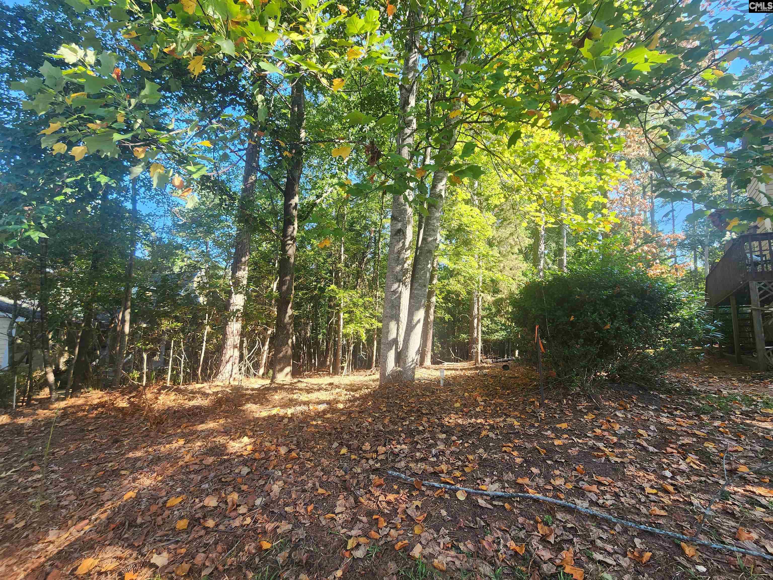 610 Timberlake Drive, Chapin — photo 3