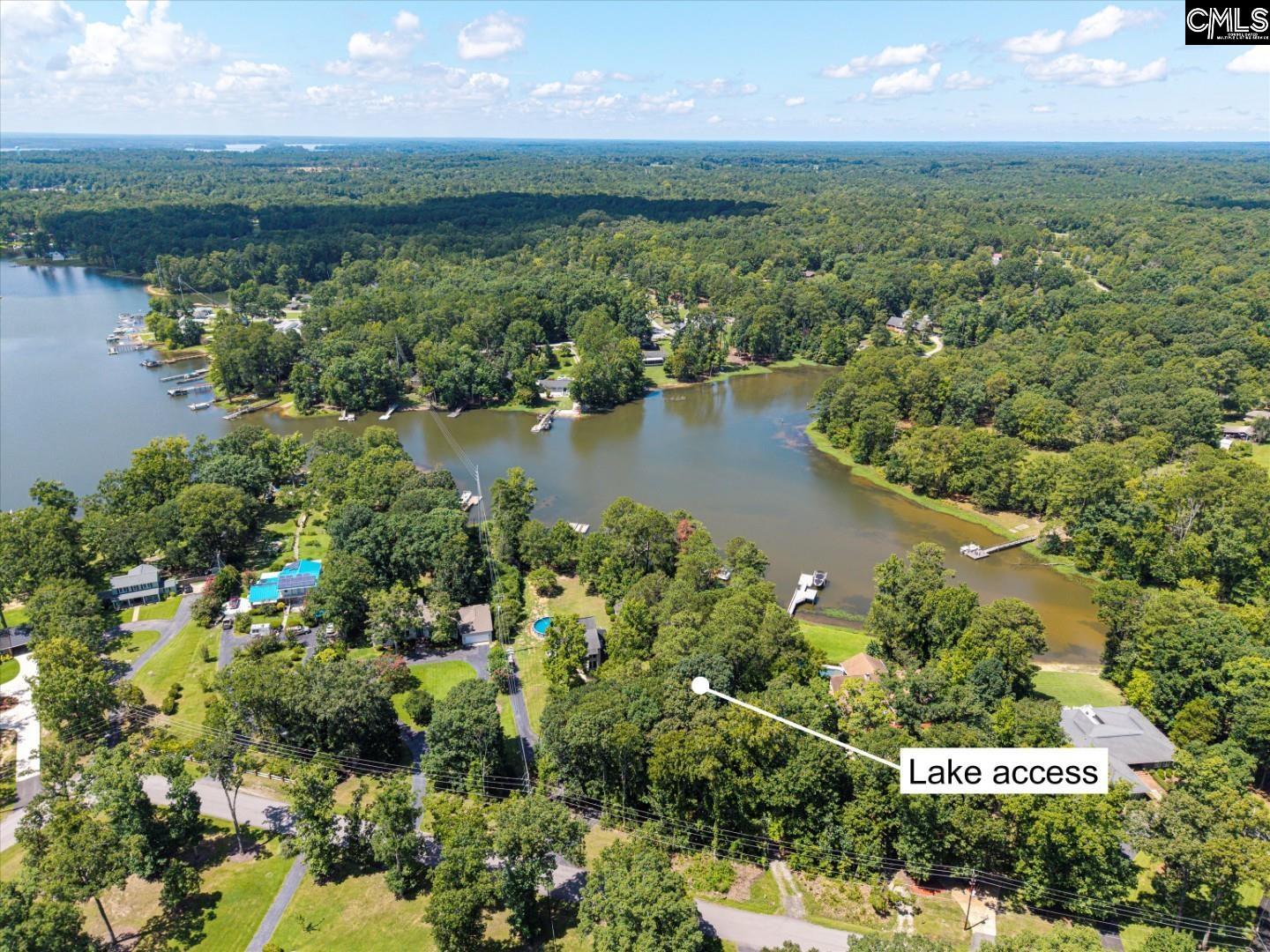 0 Lakeshore Drive, Chapin — photo 2