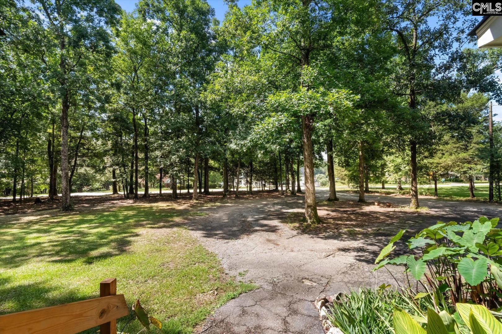 0 Lakeshore Drive, Chapin — photo 6