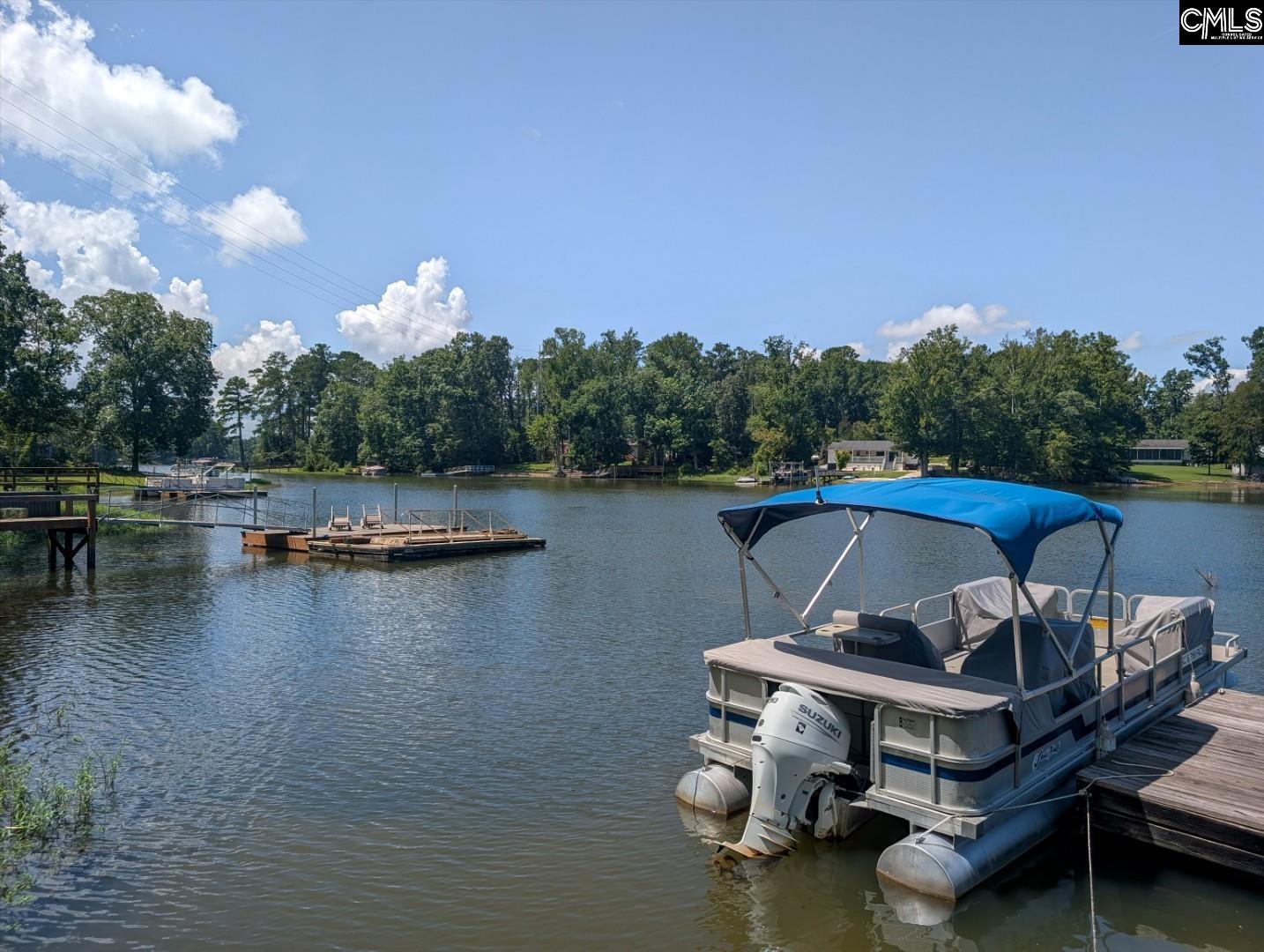 0 Lakeshore Drive, Chapin — photo 7
