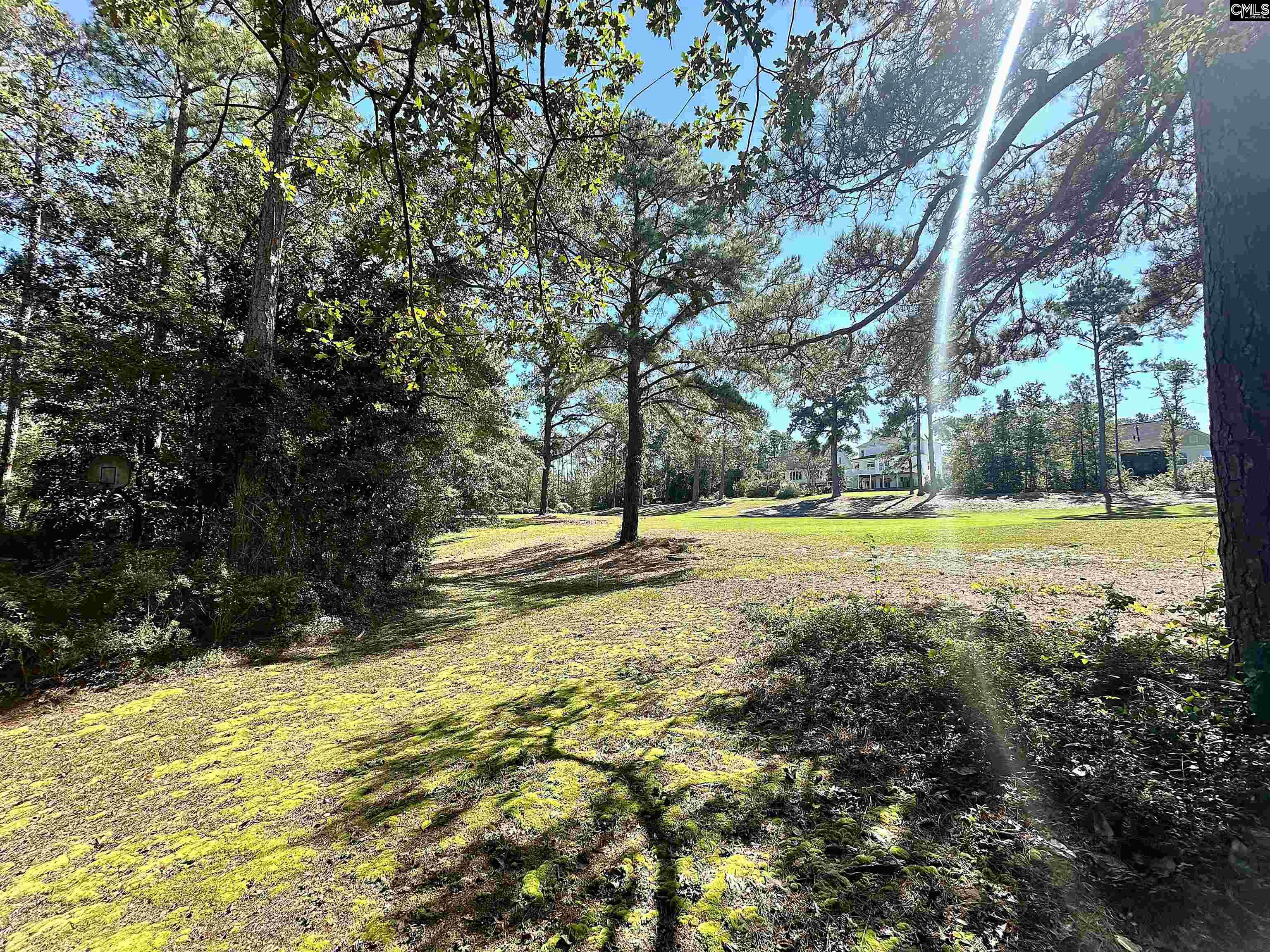 229 Holliday Road, Columbia — photo 5
