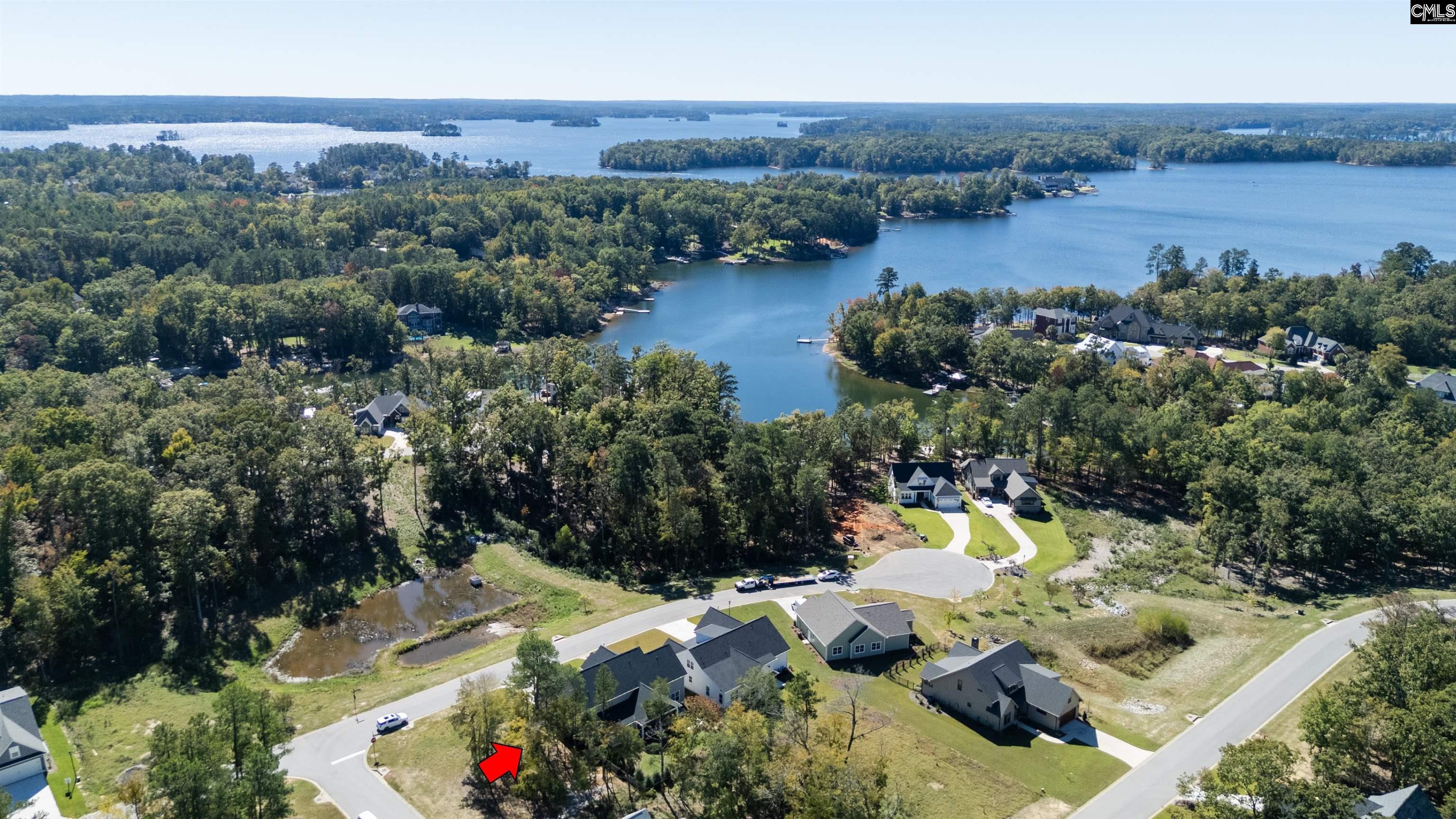 908 Salisbury Court, Chapin