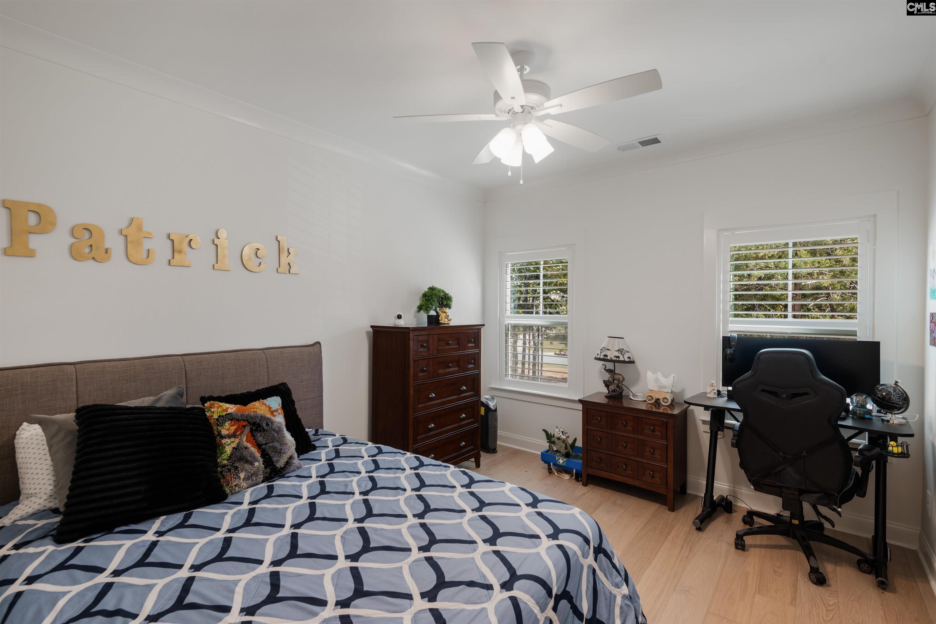 908 Salisbury Court, Chapin — photo 27