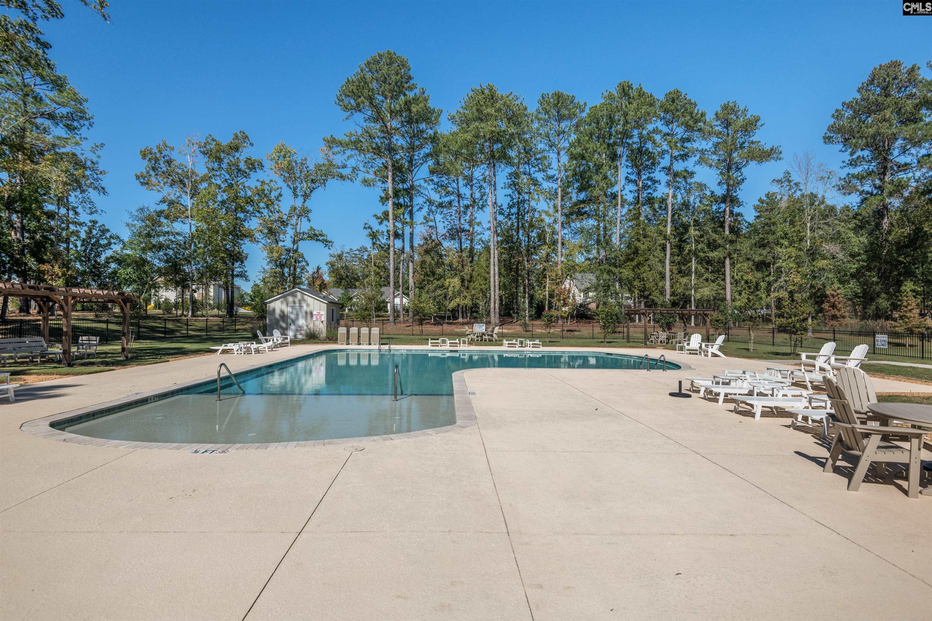 908 Salisbury Court, Chapin — photo 40