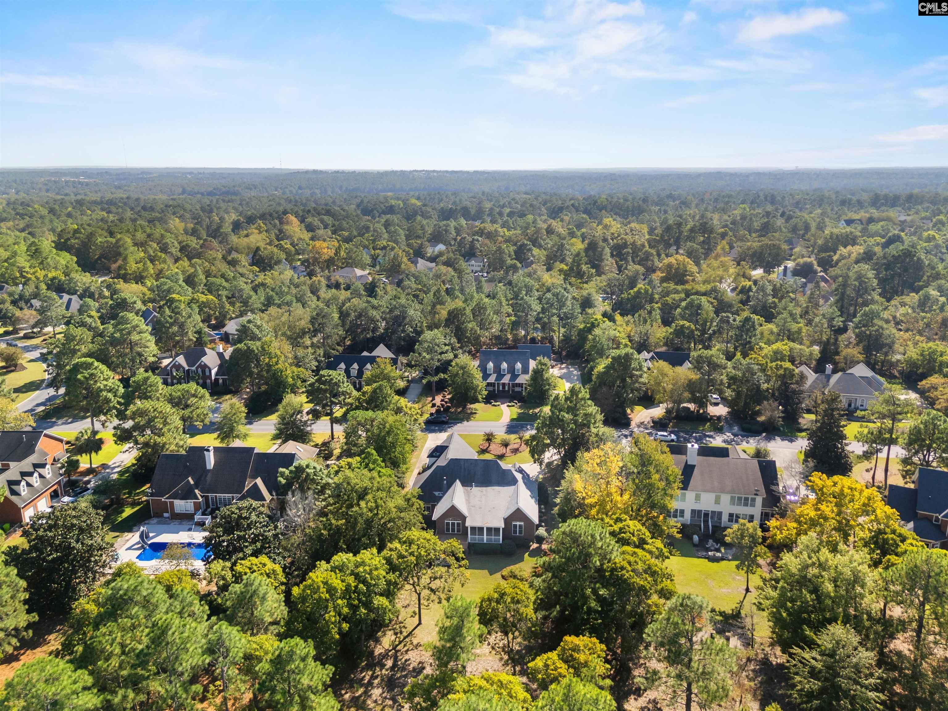 108 Louthian Way, Blythewood — photo 49