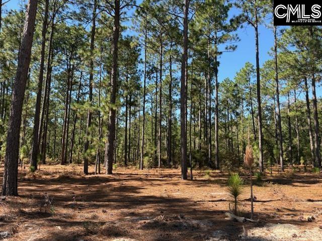 1414 Martin Smith Road, Leesville — photo 19