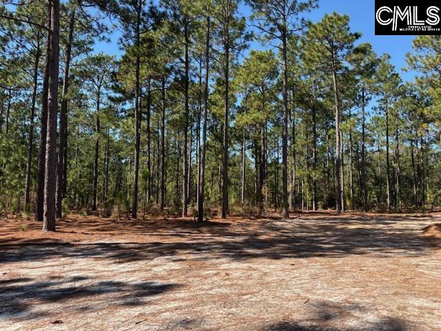 1414 Martin Smith Road, Leesville — photo 20