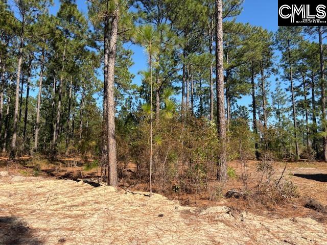 1414 Martin Smith Road, Leesville — photo 21