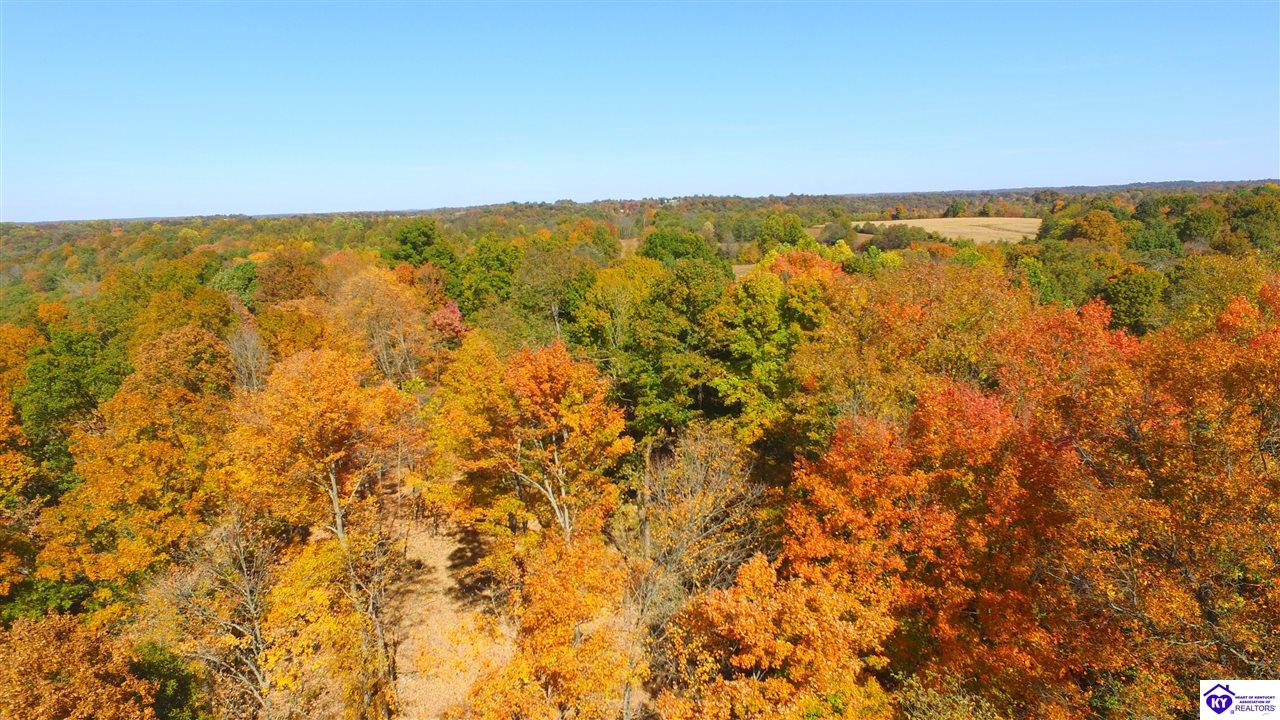 1647 Boone Hollow Road Battletown, KY 40104 #2