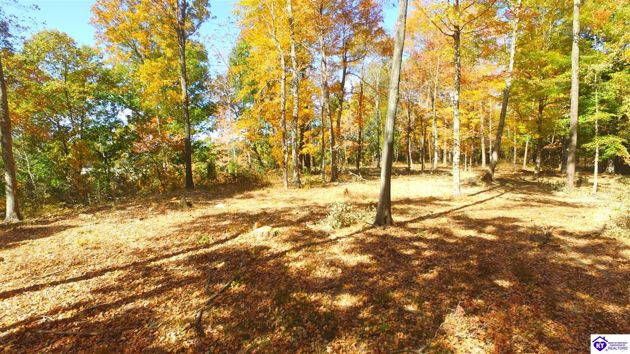 1647 Boone Hollow Road Battletown, KY 40104 #4