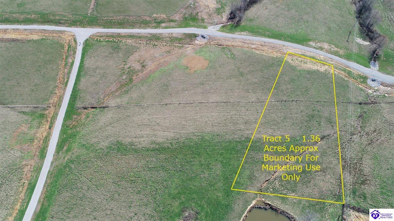 Tract 5 Moore Farm RoadLeitchfield,&nbsp;KY&nbsp;42754