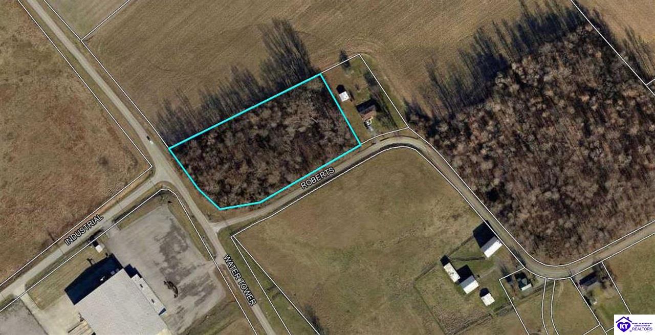 3.39 Roberts Road Campbellsville, KY 42718 #2