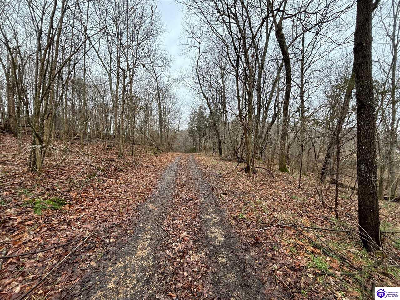 613 New State Road Webster, KY 40176 #2