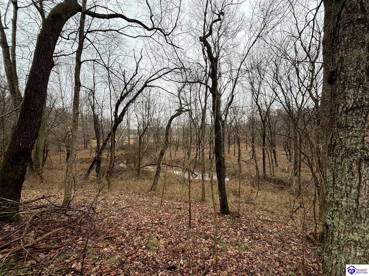 613 New State Road Webster, KY 40176 #3