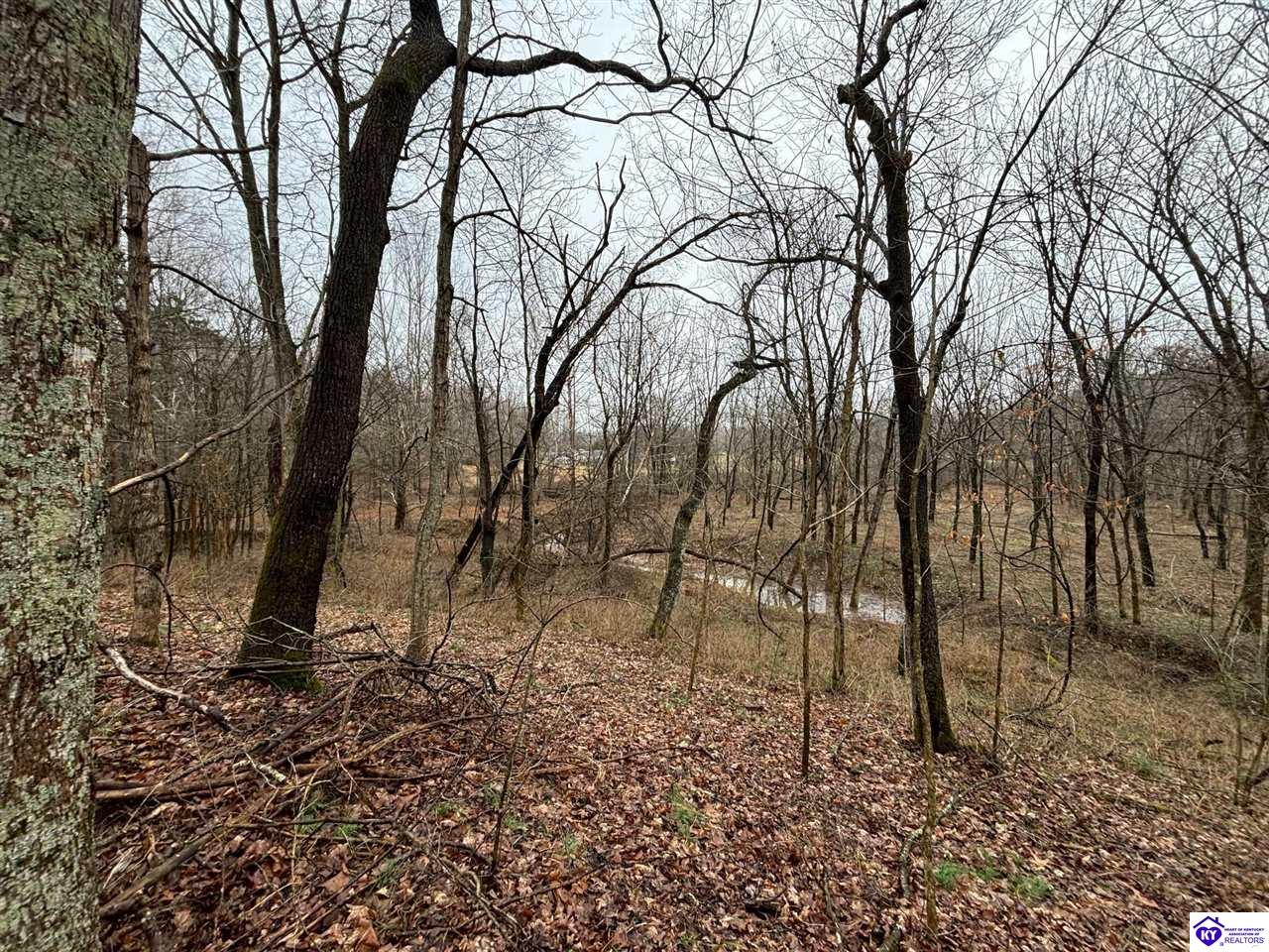 613 New State Road Webster, KY 40176 #4