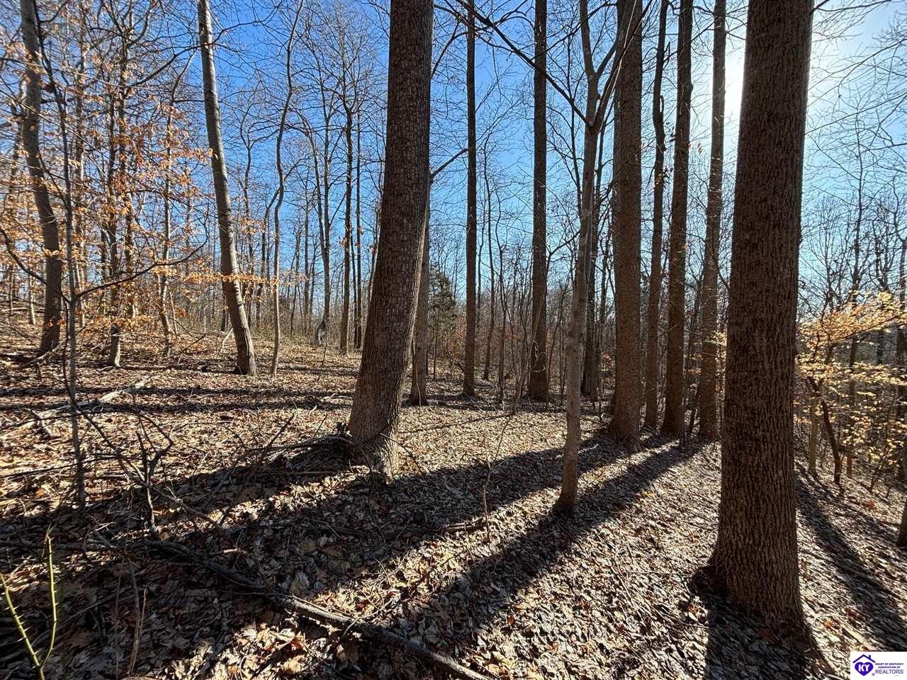 627 New State Road Webster, KY 40176 #1