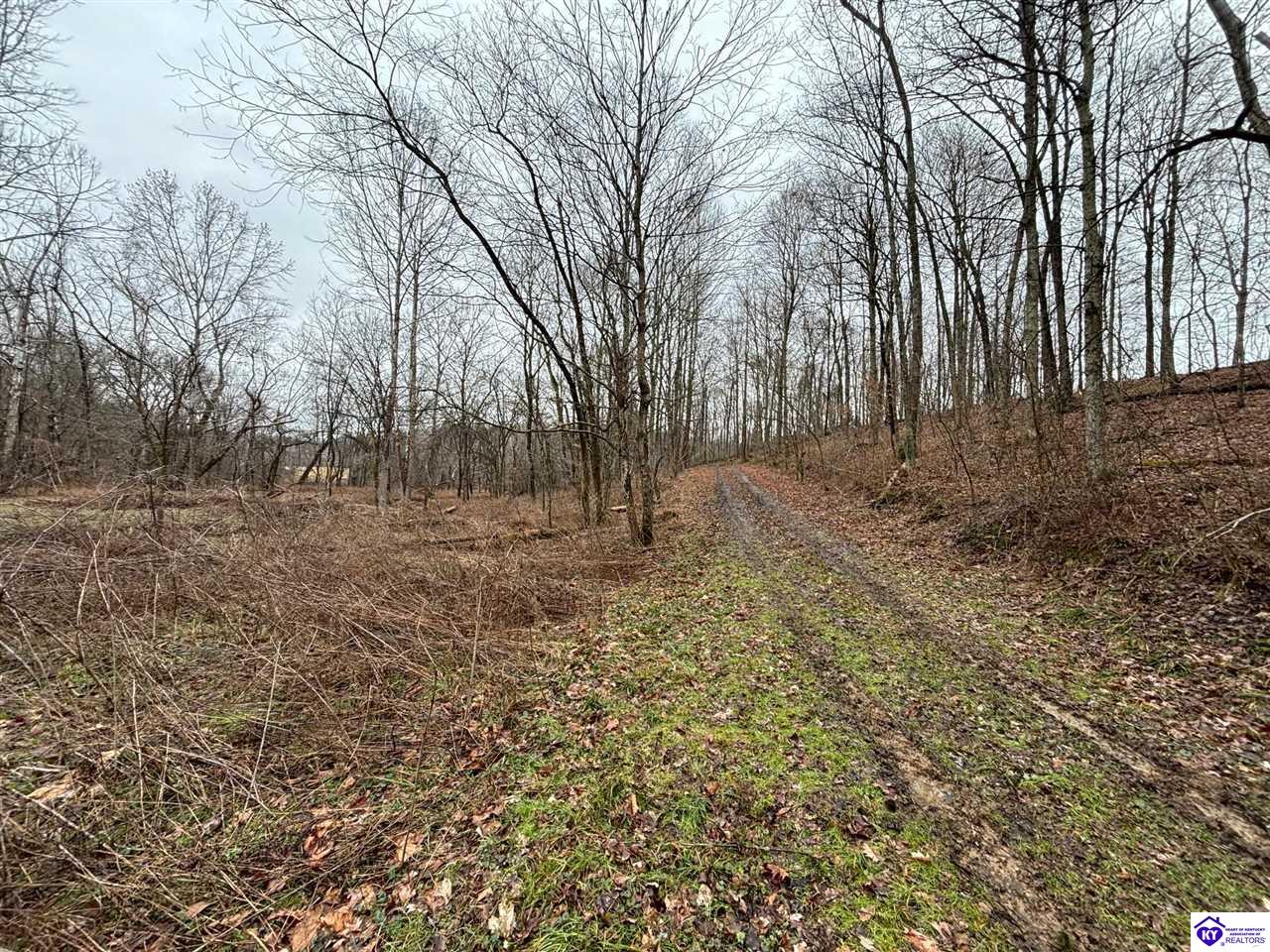 627 New State Road Webster, KY 40176 #2