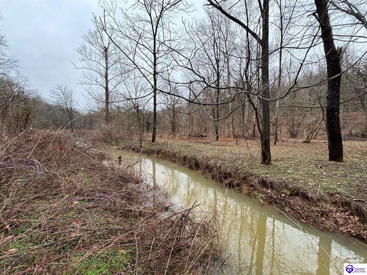 627 New State Road Webster, KY 40176 #3