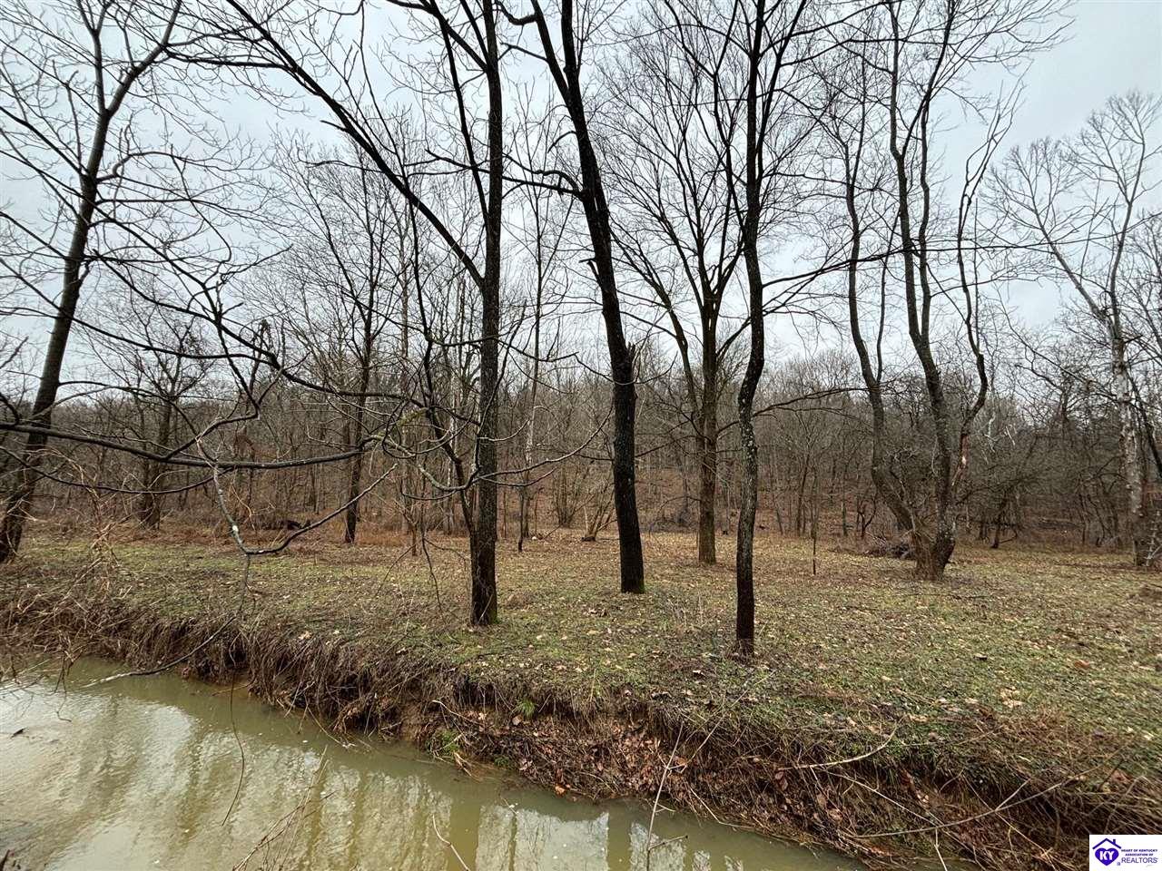 627 New State Road Webster, KY 40176 #4