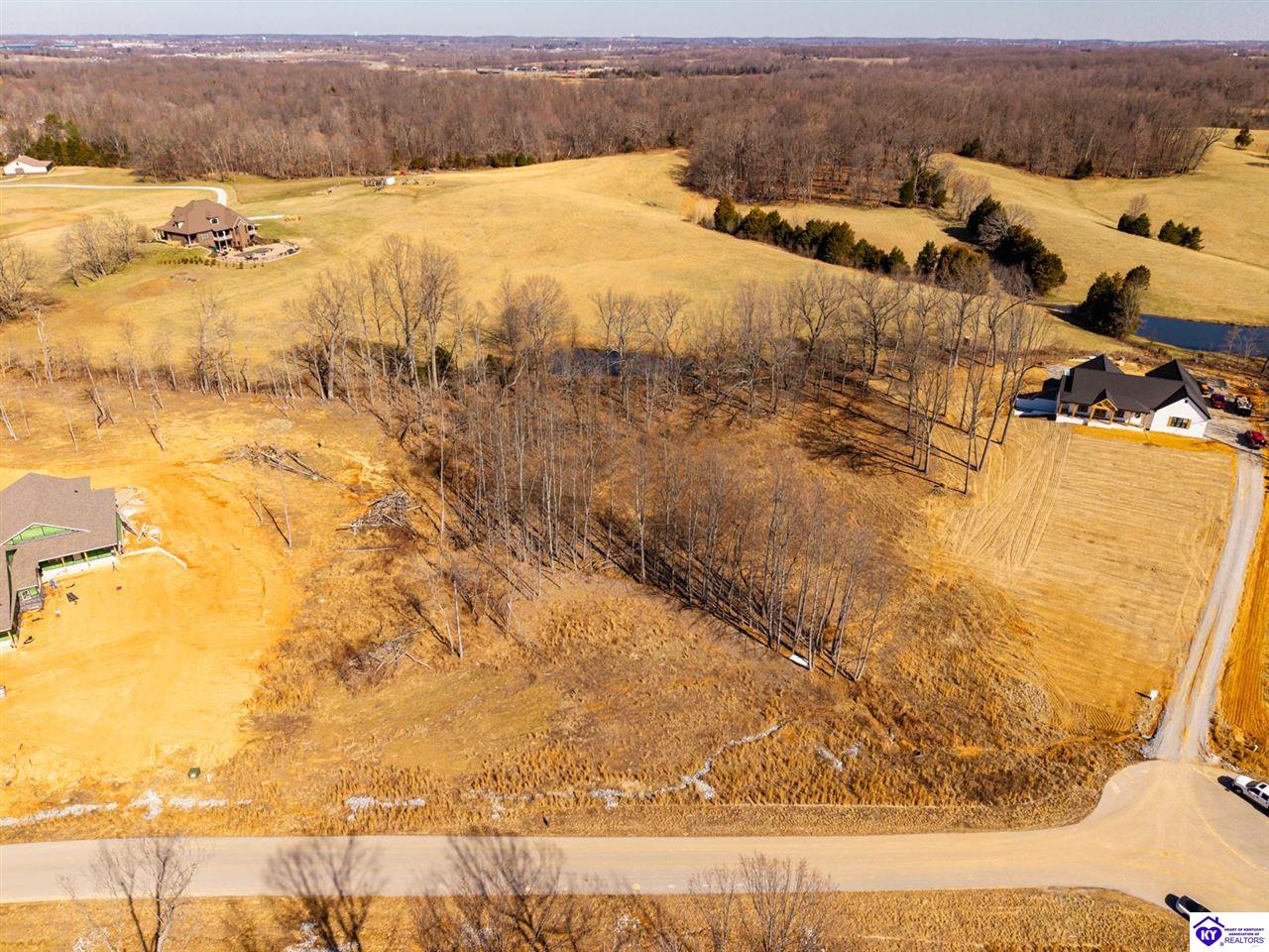 Lot 9 Still Meadow Ct Elizabethtown, KY 42701 #1