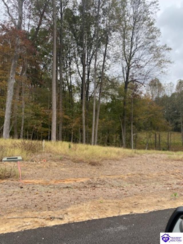 Lot 9 Still Meadow Ct Elizabethtown, KY 42701 #2