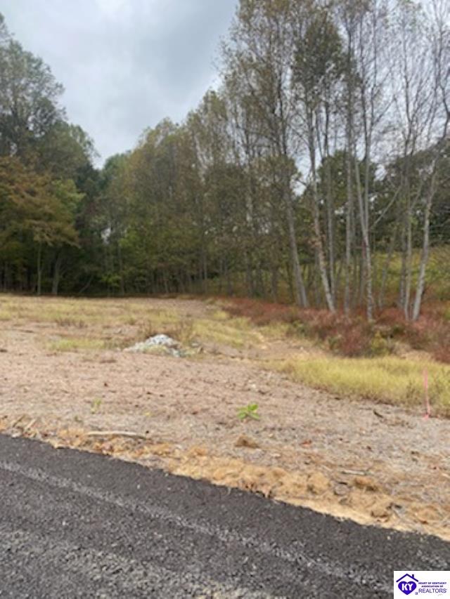 Lot 9 Still Meadow Ct Elizabethtown, KY 42701 #3
