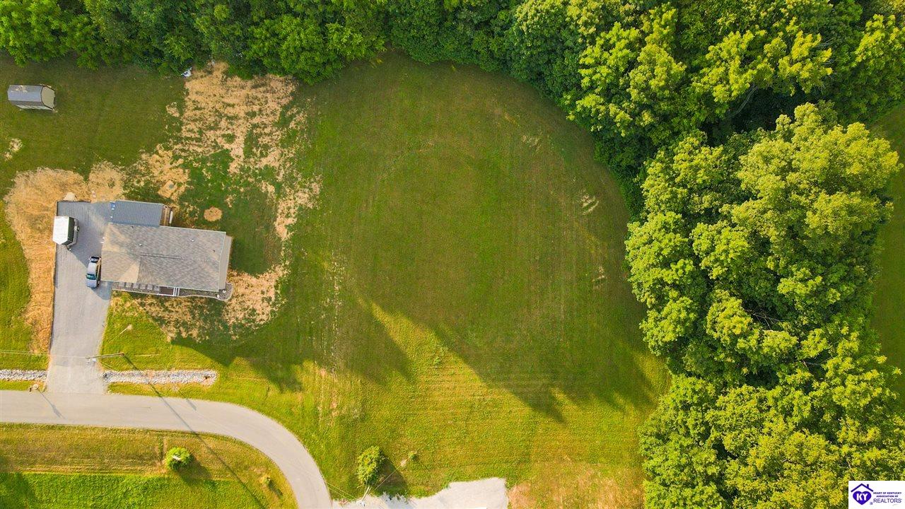 Greenleaf Drive Campbellsville, KY 42718 #1