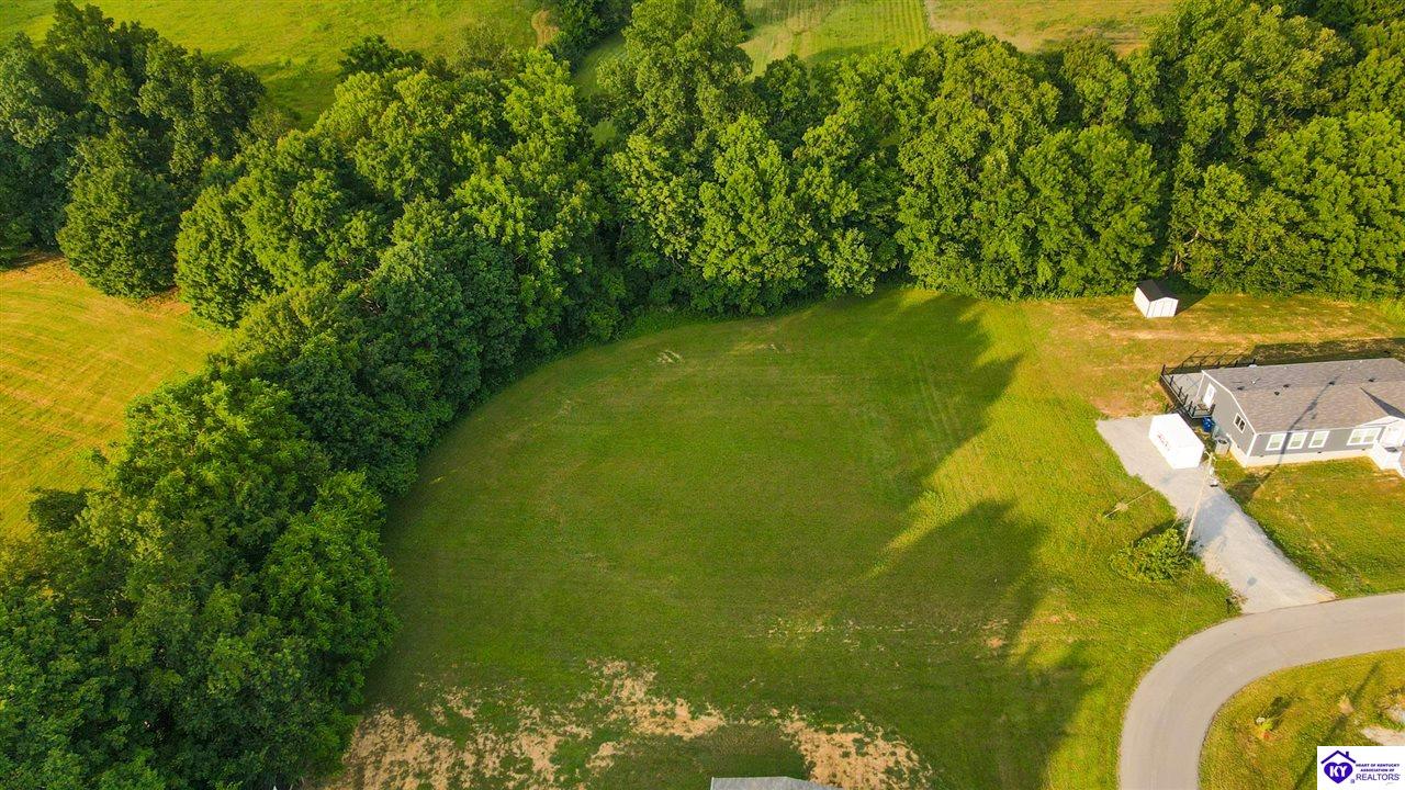 Greenleaf Drive Campbellsville, KY 42718 #3