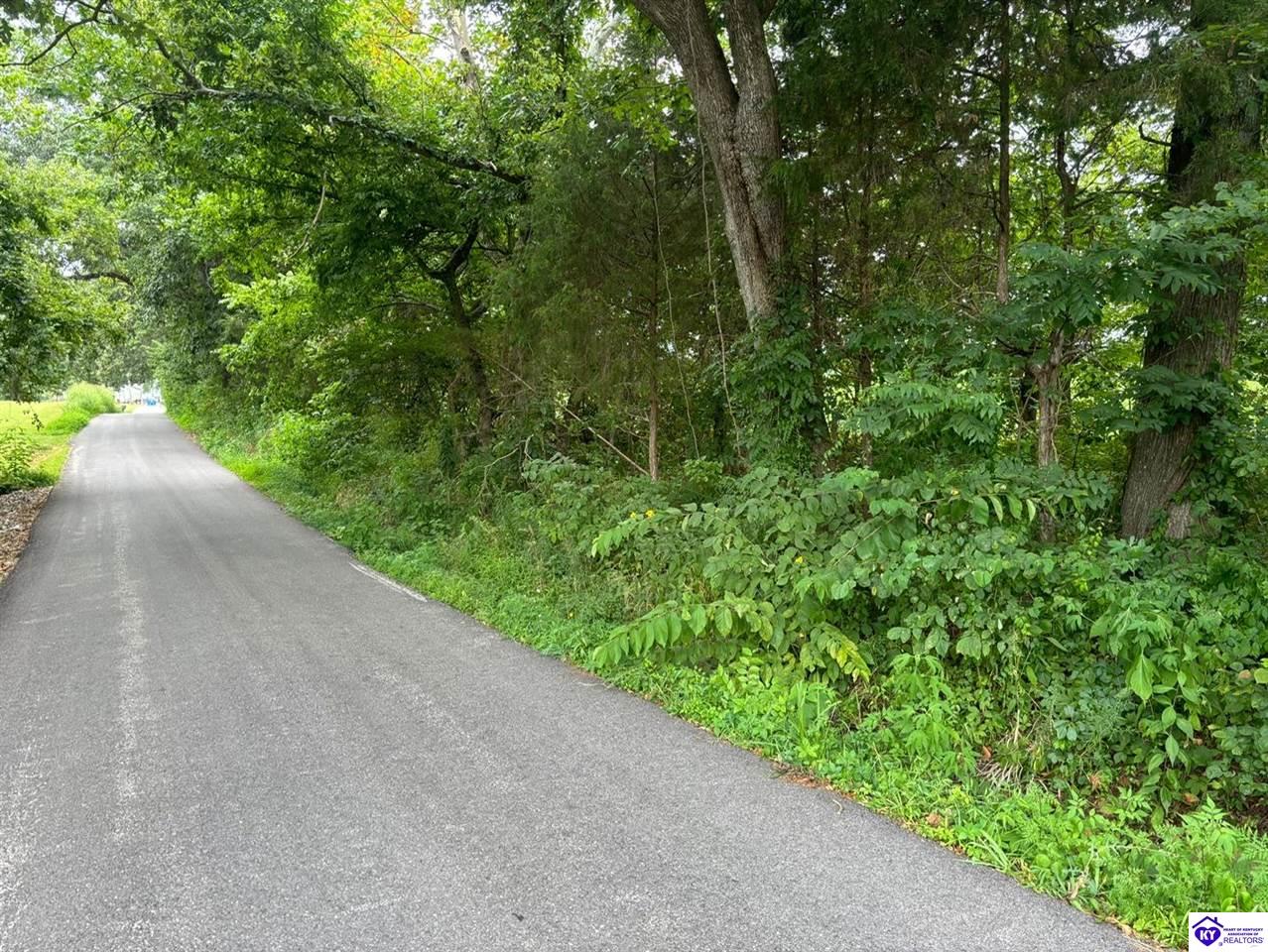 150 Morgan Road Payneville, KY 40157 #1