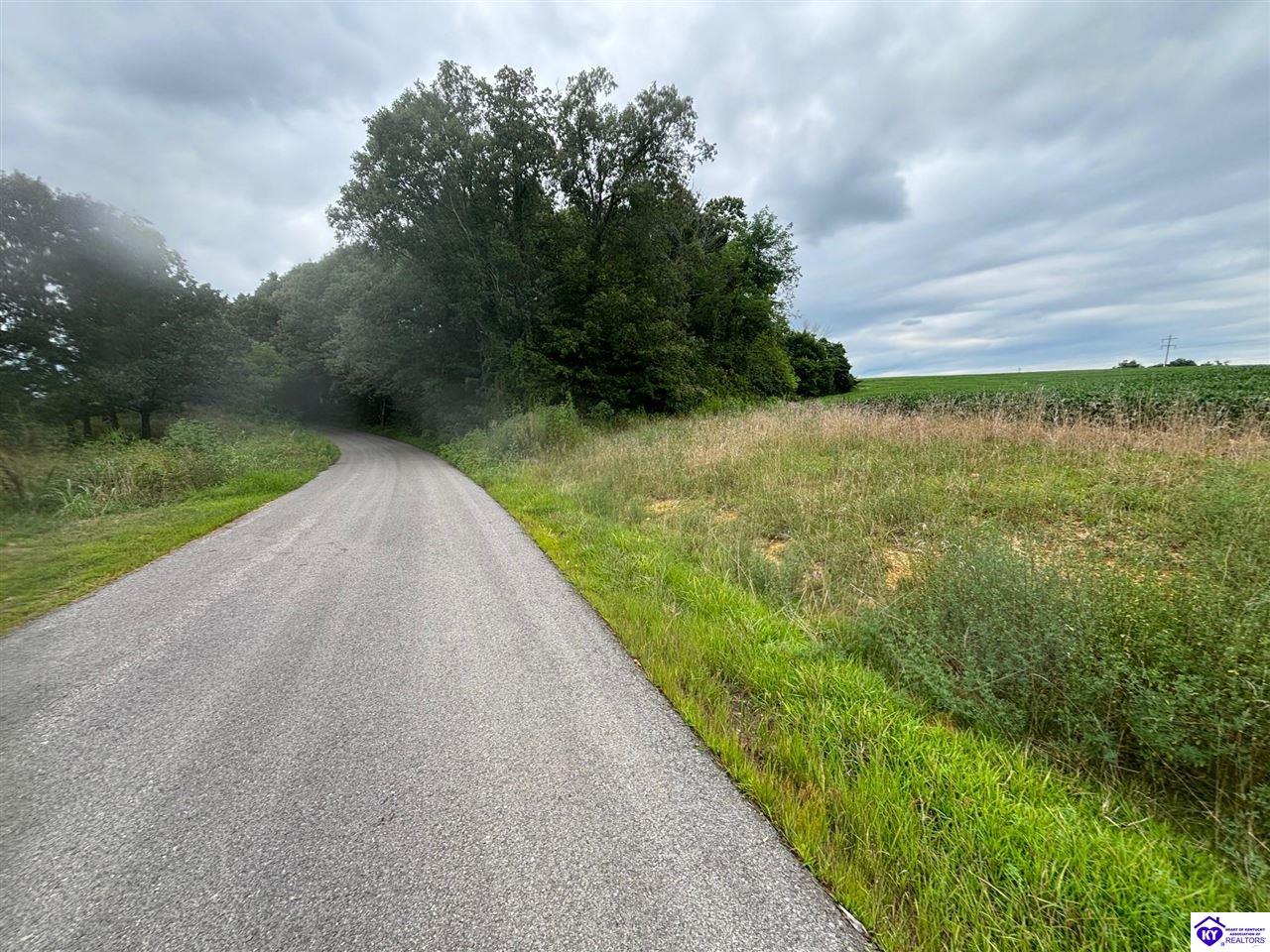 150 Morgan Road Payneville, KY 40157 #2