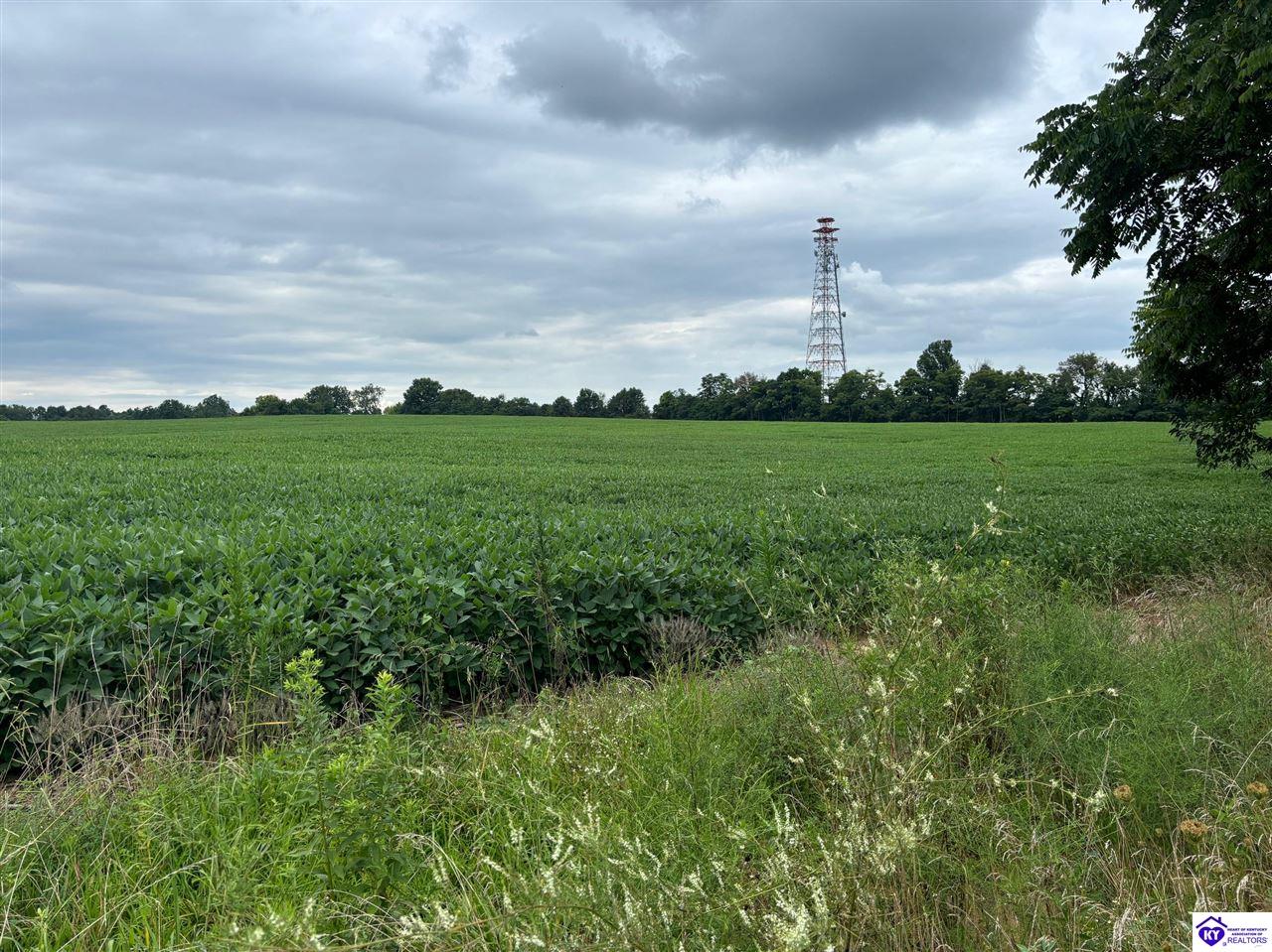 150 Morgan Road Payneville, KY 40157 #3