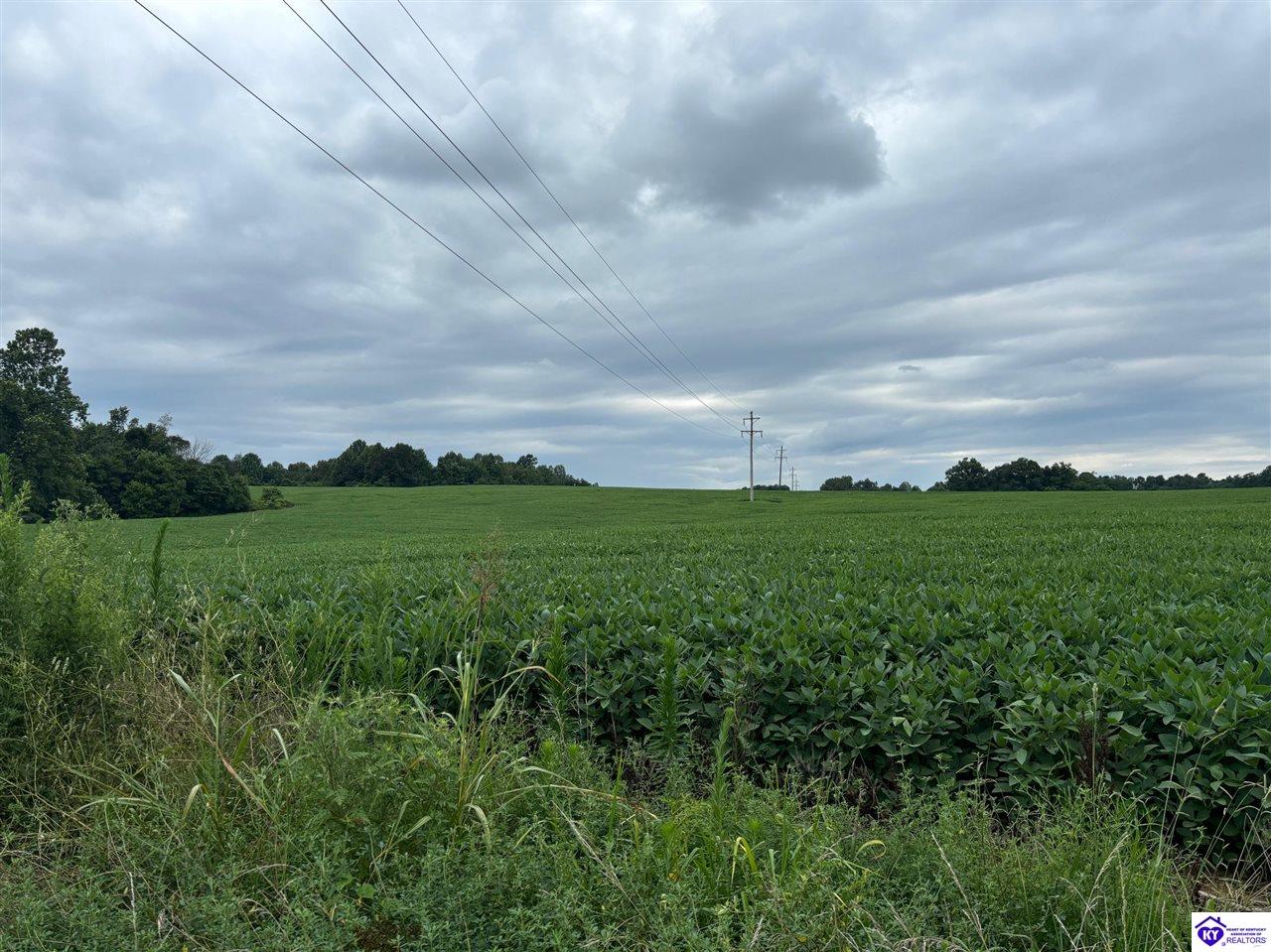 150 Morgan Road Payneville, KY 40157 #4