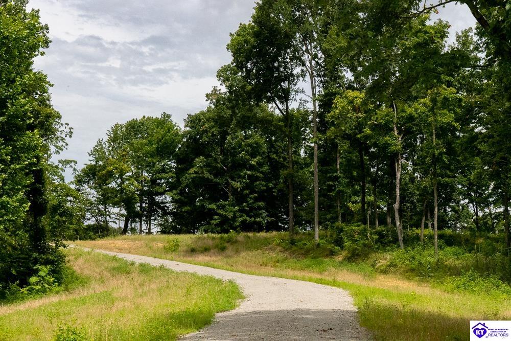 Tract 2 Cook LaneCromwell,&nbsp;KY&nbsp;42333