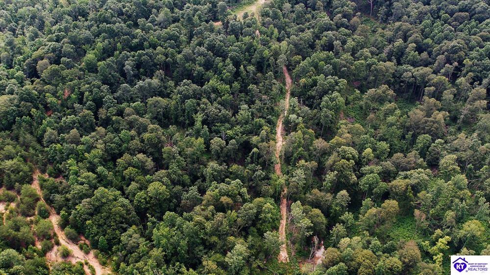 Tract 2 Cook Lane Cromwell, KY 42333 #2