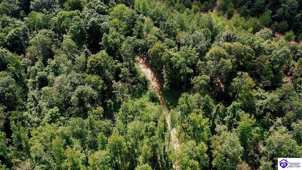 Tract 2 Cook Lane Cromwell, KY 42333 #4