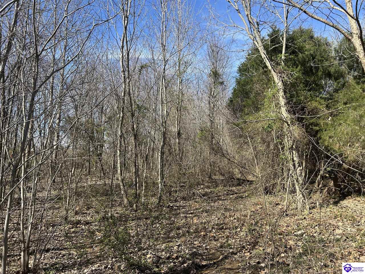 7697 Highway 1073 Garfield, KY 40140 #3