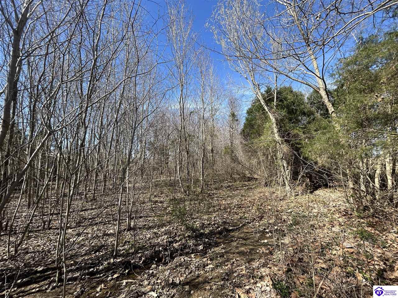 7697 Highway 1073 Garfield, KY 40140 #4