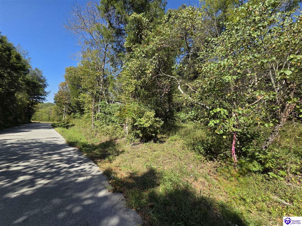 2728 Constantine RoadCecilia,&nbsp;KY&nbsp;42724