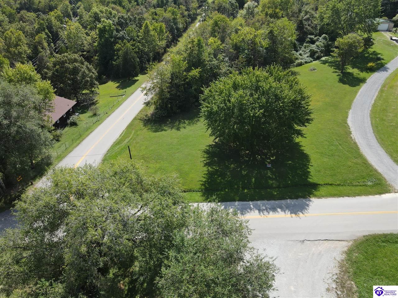 0 Blue Bird RoadFalls Of Rough,&nbsp;KY&nbsp;40119