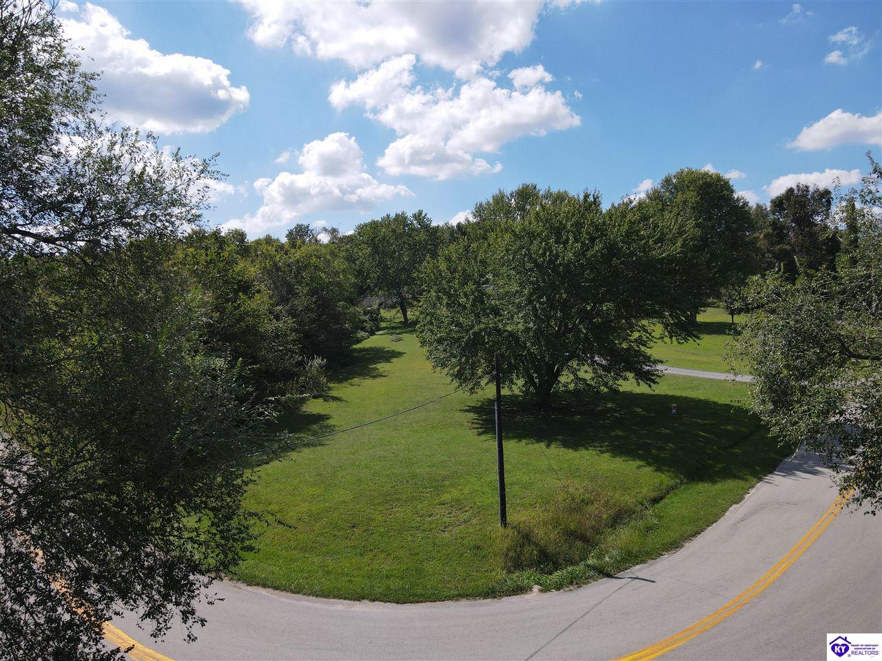 0 Blue Bird Road Falls Of Rough, KY 40119 #2