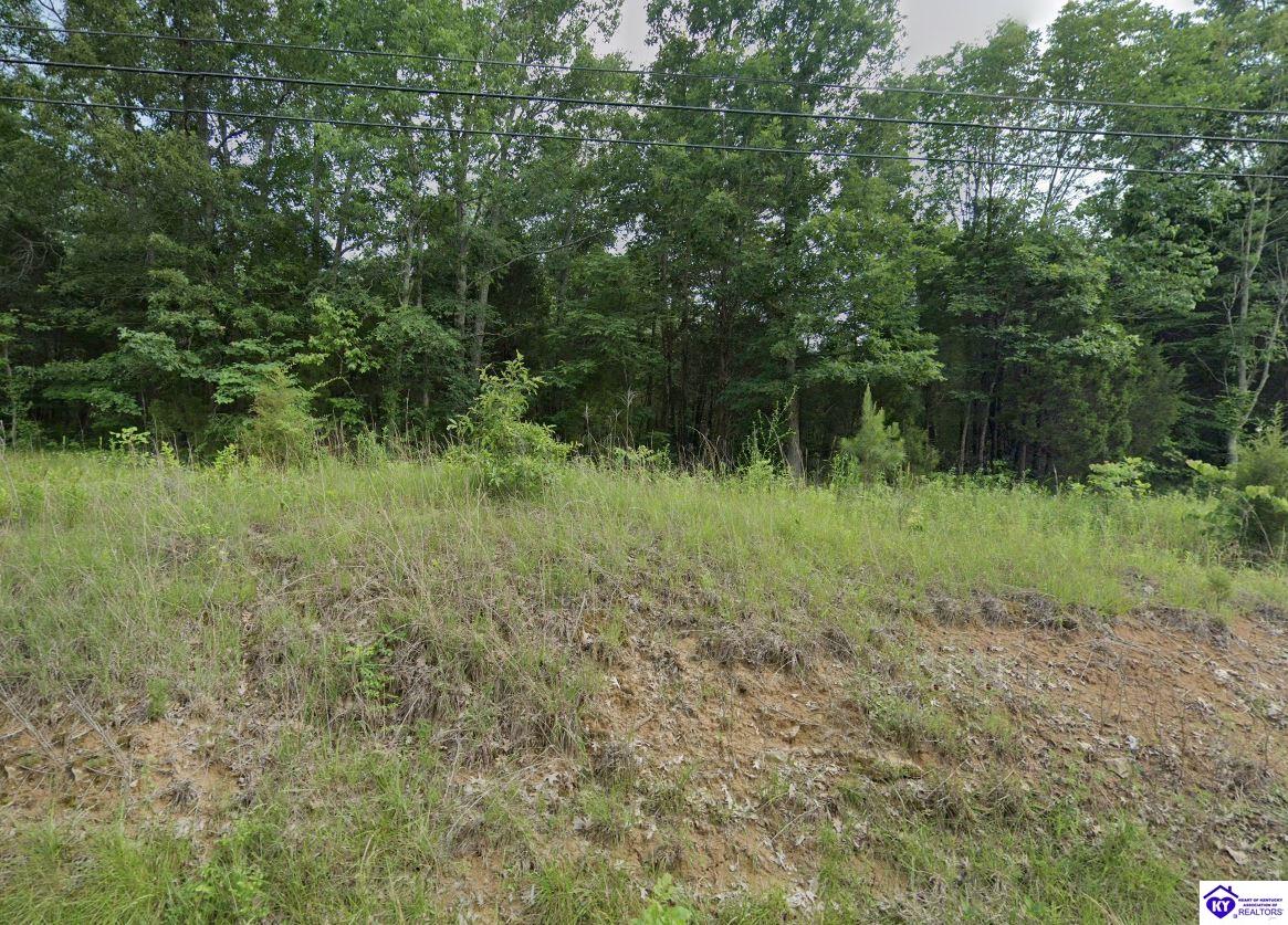 0 Blue Bird Road Falls Of Rough, KY 40119 #4