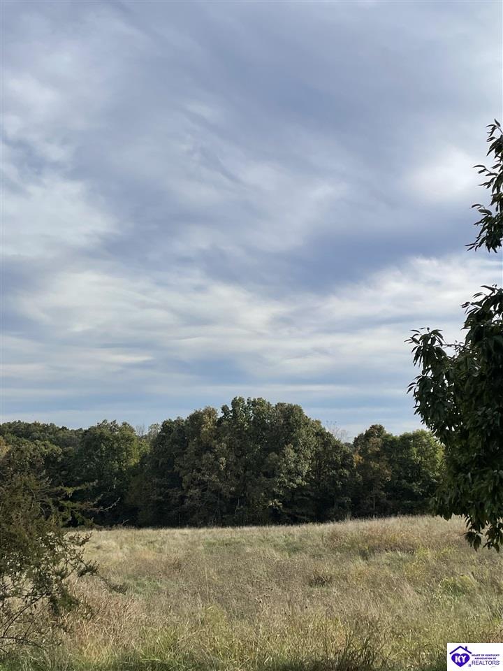 2535 Meeting Creek RoadEastview,&nbsp;KY&nbsp;42732