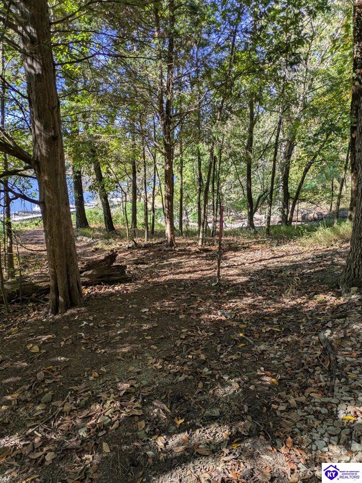 265 Camp Green Shores McDaniels, KY 40152 #2