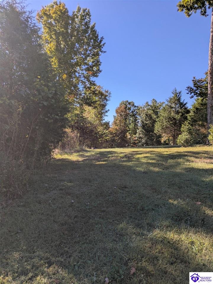 265 Camp Green Shores McDaniels, KY 40152 #3