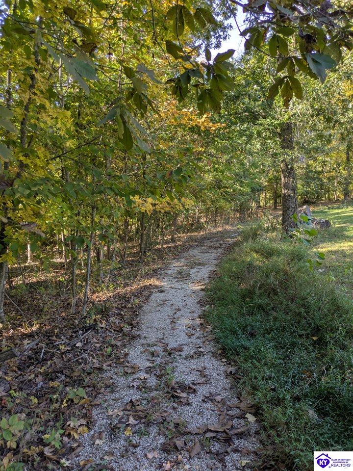 265 Camp Green Shores McDaniels, KY 40152 #4
