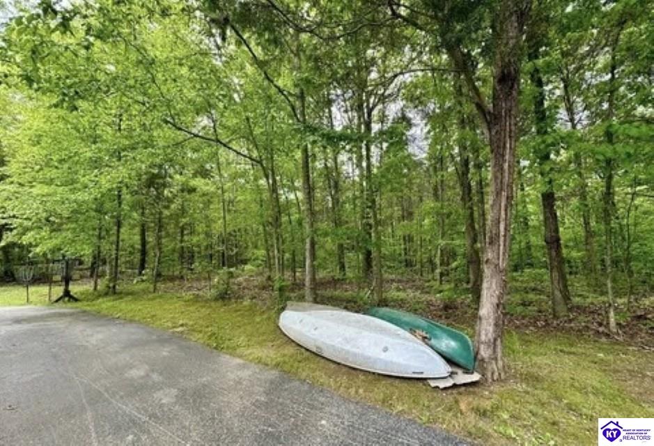 2212 Duff Road Leitchfield, KY 42754 #3