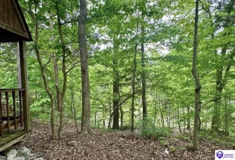 2212 Duff Road Leitchfield, KY 42754 #4