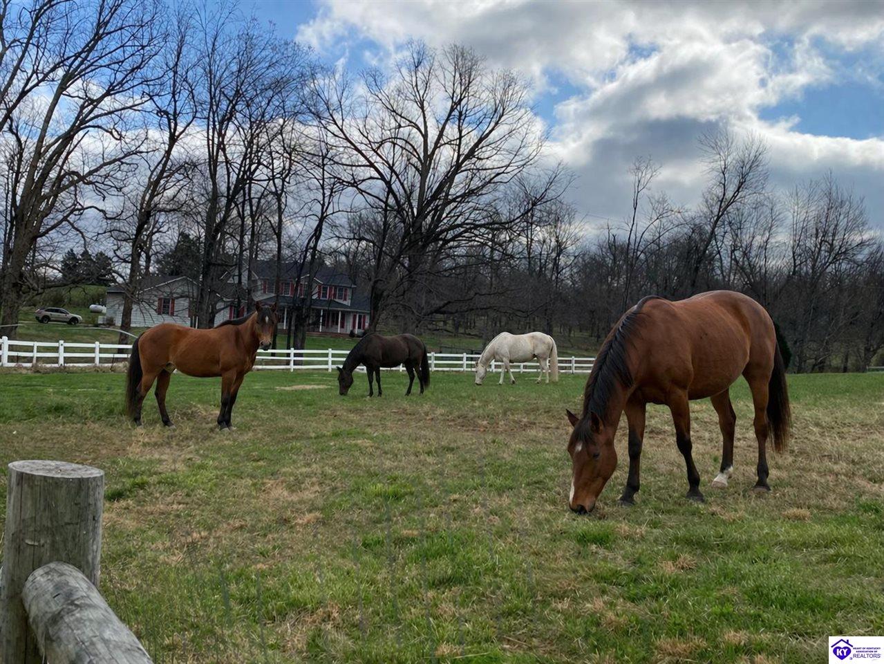 1828 Deckard School Road Radcliff, KY 40160 #1